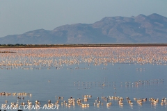 lac Logipi / lake Logipi