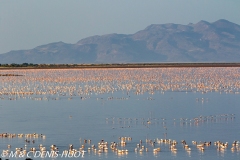 lac Logipi / lake Logipi
