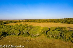 Soysambu conservancy