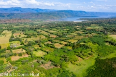 Lac Bogoria / lake Bogoria