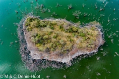 Lac Bogoria / lake Bogoria