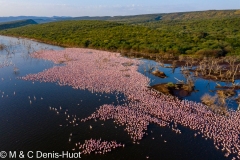 Lac Bogoria / lake Bogoria