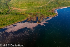 Lac Bogoria / lake Bogoria