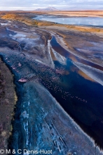 lac Magadi / lake Magadi