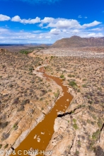 réserve de Shaba / Shaba game reserve