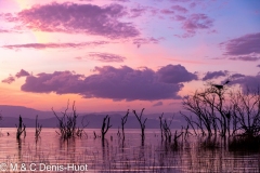 lac Baringo / lake Baringo