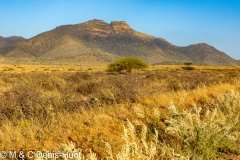 Nord Kenya / North Kenya