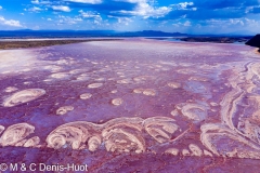 lac Magadi / lake Magadi