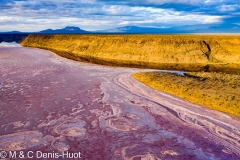 lac Magadi / lake Magadi