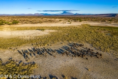 réserve de Shaba / Shaba game reserve