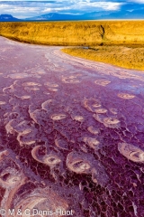 lac Magadi / lake Magadi