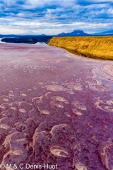 lac Magadi / lake Magadi