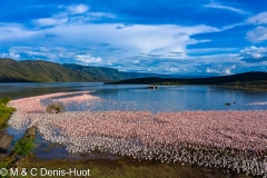 Lac Bogoria / lake Bogoria