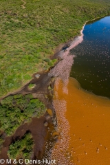 Lac Bogoria / lake Bogoria