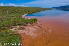 Lac Bogoria / lake Bogoria