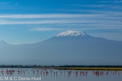 parc national d'Amboseli / Amboseli national park