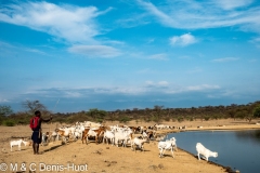 lake Magadi