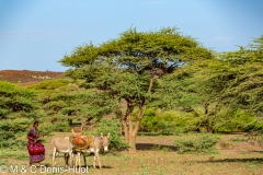 autour du lac Turkana / around lake Turkana