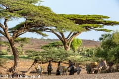 lac Turkana / lake Turkana