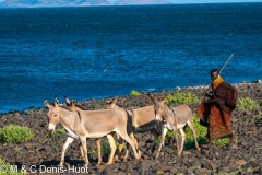 lac Turkana / lake Turkana