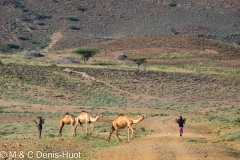 lac Turkana / lake Turkana