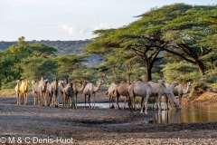 lac Turkana / lake Turkana