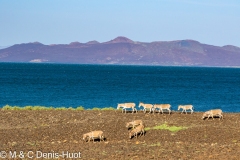 lac Turkana / lake Turkana