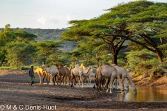 lac Turkana / lake Turkana