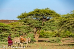 autour du lac Turkana / around lake Turkana
