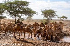 lac Turkana / lake Turkana