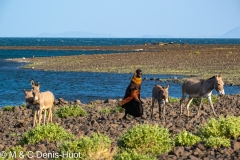 lac Turkana / lake Turkana