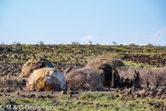 lac Turkana / lake Turkana