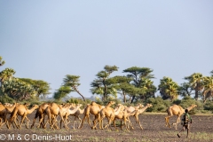 lac Turkana / lake Turkana