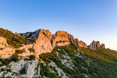 Dentelles de Monmirail