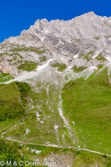 transhumance des chèvres / transhumance of goats