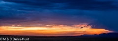 Masai-Mara