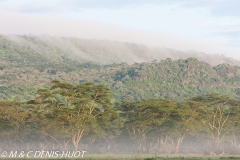 Nakuru national park
