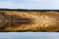 lac Magadi / lake Magadi