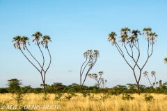 parc national de Meru / Meru national park