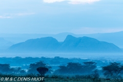 Soysambu