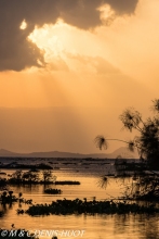 lac Naivasha / lake Naivasha