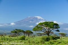 parc national d'Amboseli / Amboseli national park