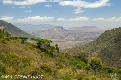 Afrique, Nord Kenya, Desert rose lodge