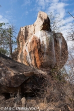 parc national de Meru / Meru national park