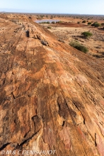 Parc National de Tsavo Est / Tsavo East national park