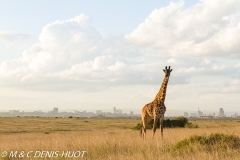 Nairobi