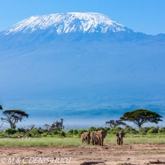 parc national d'Amboseli / Amboseli national park