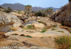 réserve de Shaba / Shaba game reserve