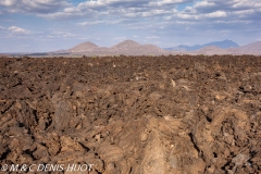 Parc National de Tsavo Ouest / Tsavo West national park