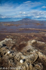 lac Natron / lake Natron